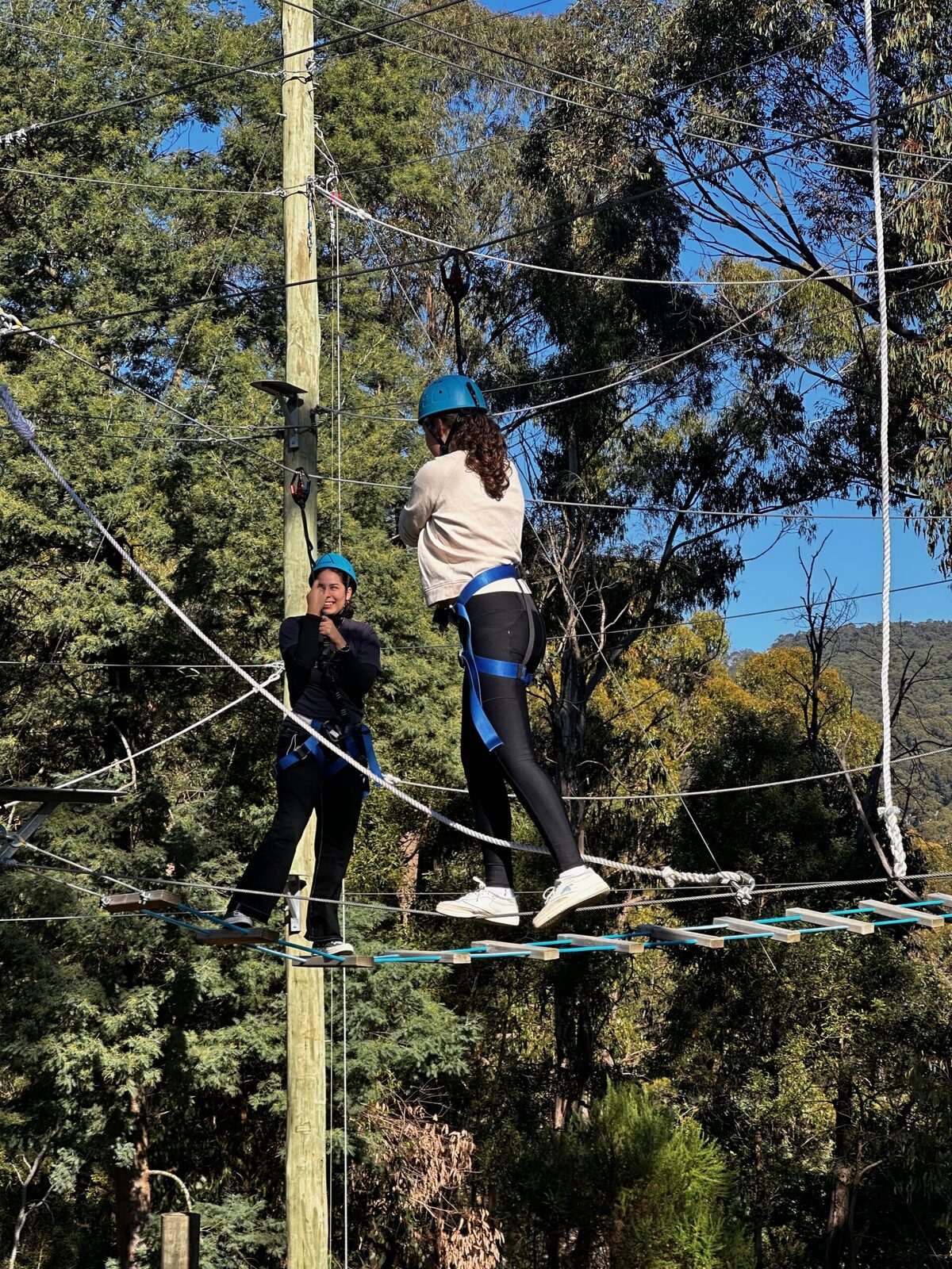 Campers on the high ropes course at Oasis Camp